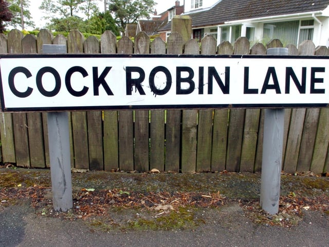 The proposed site for 80 new homes is off Cock Robin Lane and the Preston Lancaster New Road at Catterall, near Garstang.