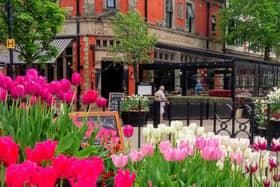 An eye-catching floral display in Lytham Square