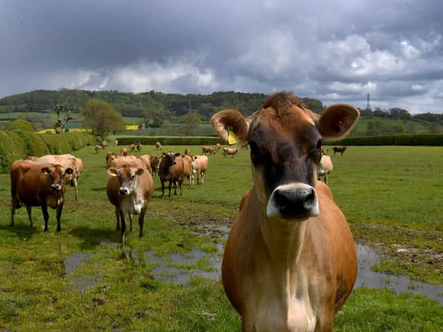 Farming