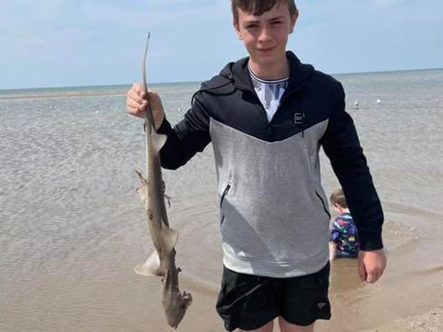 Manchester mum Jenny Fowler said her children found a baby hound-shark on the beach in Bispham yesterday (Wednesday, June 2) whilst holidaying for the half-term. Pic: Jenny Fowler