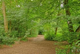 The 58-year-old is charged with two cases of indecent exposure after allegedly 'flashing' at walkers in Witch Wood, Lytham on Wednesday, June 2. Pic credit: Kate Yates