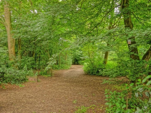 The 58-year-old is charged with two cases of indecent exposure after allegedly 'flashing' at walkers in Witch Wood, Lytham on Wednesday, June 2. Pic credit: Kate Yates
