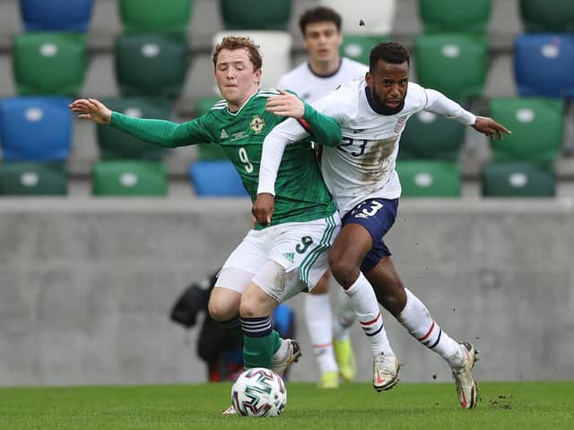 Lavery in action for Northern Ireland