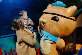 The Octonauts are coming to the north west