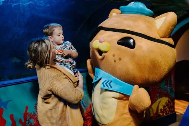 The Octonauts are coming to the north west