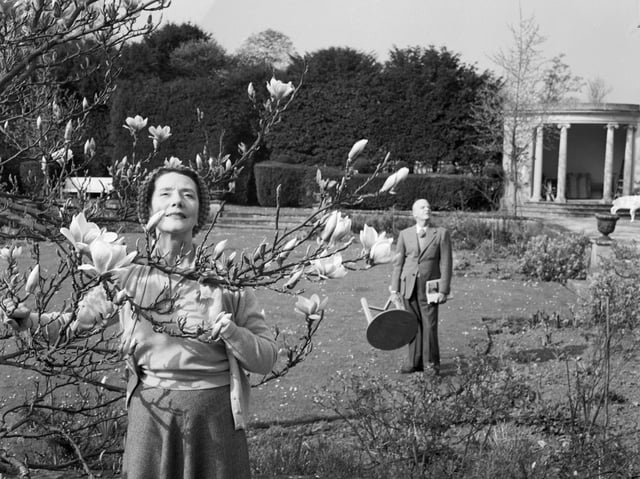 Lynn Fontanne and her husband Alfred Lunt in 1952. Photo: Getty Images