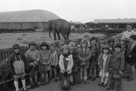 Blackpool Zoo in 1979