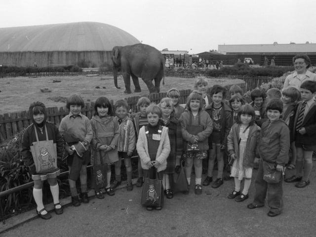 Blackpool Zoo in 1979