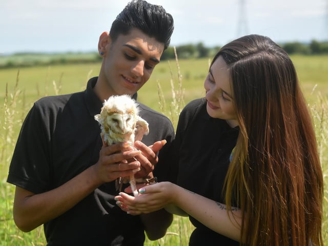 Bailey Lister and Georgia Southern from Hugo's Small Animal Rescue and Sanctuary are hoping to raise enough money for Frankie the barn owl to have an operation to fix his wing. Picture: Dan Martino/JPI Media