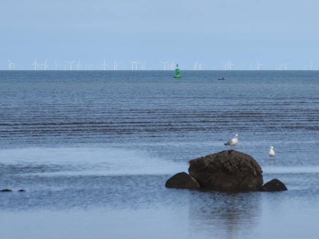 Cleaner beaches are thought to be a contributing factor to thriving populations of cetacean species in Fylde coast waters. Picture: Daniel Martino/JPI Media