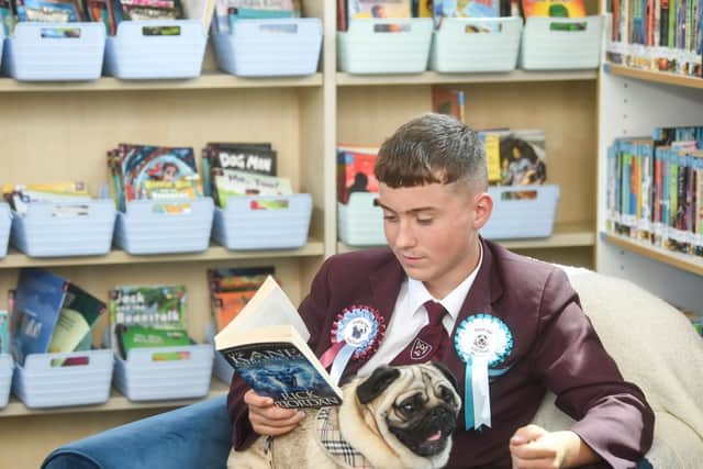 Theo Nelson, 12, reading with Dudley and wearing his reading achievement rosettes. Picture: Daniel Martino/JPI Media