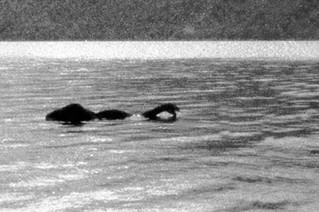 A photo appearing to show the Loch Ness Monster, taken by Frank Searle