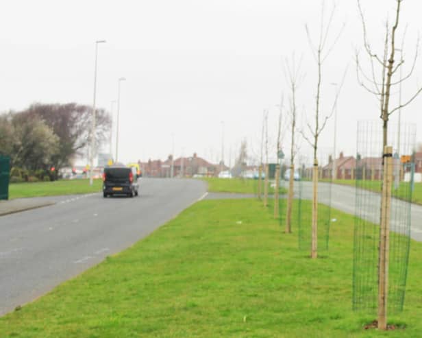 The dual carriageway is described as 'challenging' for cyclists