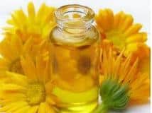Calendula