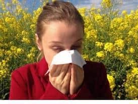 Hayfever