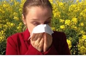 Hayfever