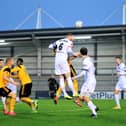 Towering defender Alex Whitmore will skipper the Coasters this season