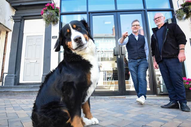 Brenda the 17-month-old Bernese Mountain Dog is already ready to greet customers with a smile at Bren's Barista! Pic: Dan Martino/JPI Media