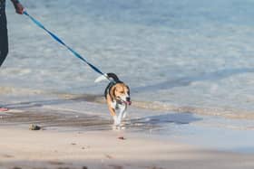 There are strict rules on when and where you can walk you dog along beaches in the Fylde coast.