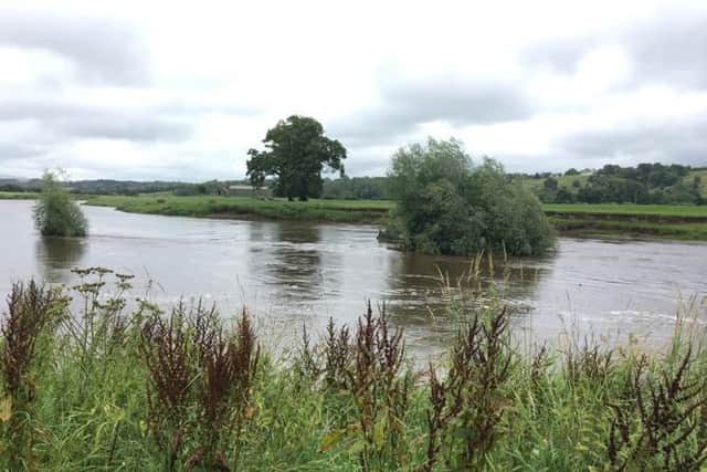 A new survey aims to discover if otter numbers are increasing on the River Ribble, which rises in Yorkshire and flows through Lancashire to Preston