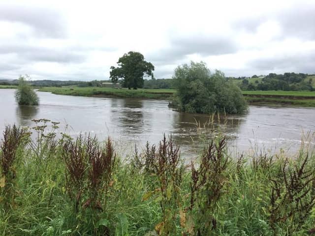 A new survey aims to discover if otter numbers are increasing on the River Ribble, which rises in Yorkshire and flows through Lancashire to Preston