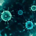 Coronavirus is not going away any time soon