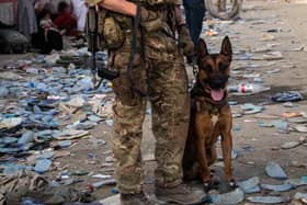 Defence Secretary Ben Wallace has said the Kabul evacuation effort is "down to hours now, not weeks" as he conceded Britain's involvement will end when the US leaves Afghanistan. Pic credit: LPhot Ben Shread/MoD