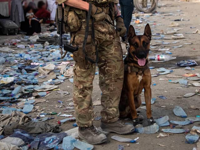 Defence Secretary Ben Wallace has said the Kabul evacuation effort is "down to hours now, not weeks" as he conceded Britain's involvement will end when the US leaves Afghanistan. Pic credit: LPhot Ben Shread/MoD