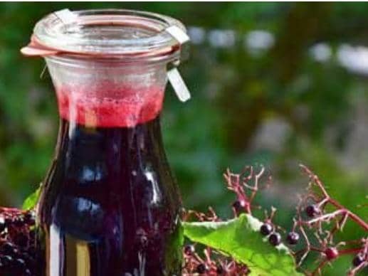 Elderberry