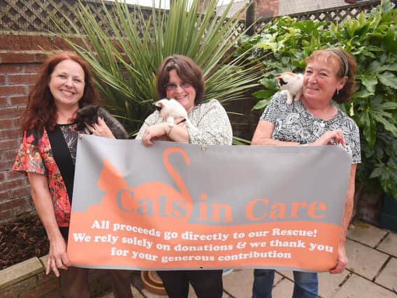 Cats in Care are holding several fundraising events for the charity. Pictured R-L are Julie Rooney, Nicola Gleeson .and Kathryn Jones
