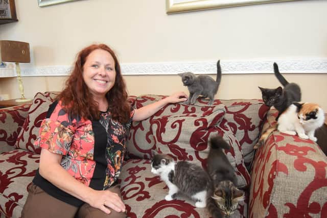 Kathryn Jones with some of the little kittens she is looking after as part of her voluntary work with rescue group Cats in Care