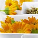 Marigold