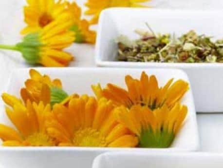Marigold