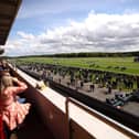 Haydock Park stages the first of two consecutive days of racing action on Friday afternoon with a seven-race card