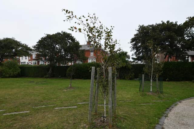 Revoe Park, where newly planted trees were vandalised
