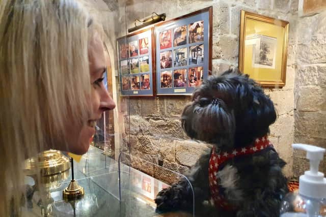 The Pooch Smooch - one of the initiatives, during Covid-19 regulations that contributed to Catapult PR's travel and tourism win, as hotel staff, just like soap opera stars, showed their affection through Perspex screens