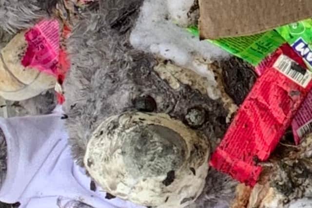 One of the teddy bears in the blaze at Harts Amusements in Bispham