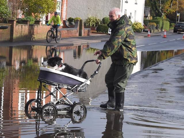 Robert Gudger takes his dog Ben for a walk using an unconventional method