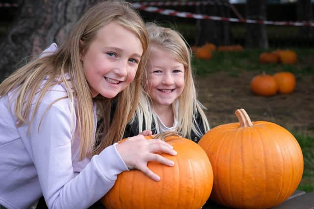 Delilah and Rosie Coome were among those who enjoyed Pumpkins In The Park