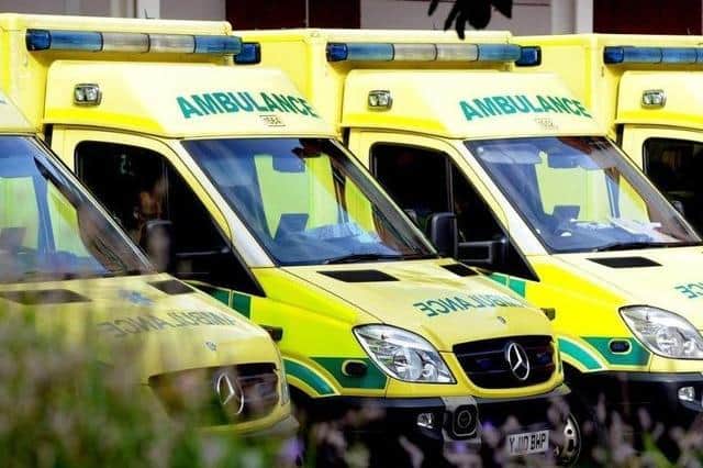 Concerns have been raised about ambulance handover times (stock picture)