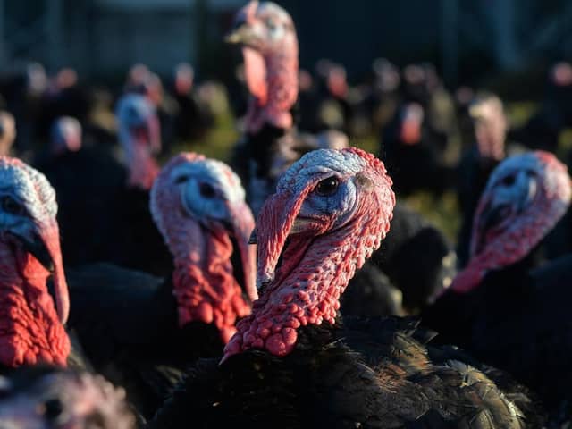 Defra said all birds on the infected farm will be culled and a disease control zone encompassing the whole of the Fylde, Preston and South Ribble has been put in place