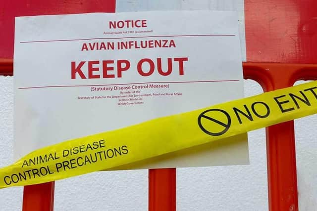 Further testing is underway to confirm the pathogenicity of the strain and all birds on the infected farm in the Fylde village of Salwick will be humanely culled, said Defra