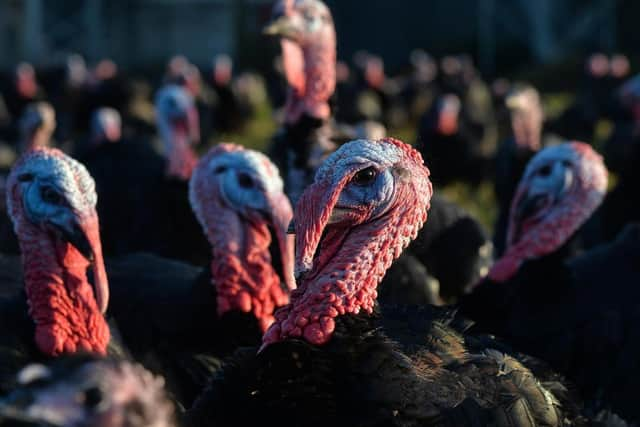 Defra said all birds on the infected farm will be culled and a disease control zone encompassing the whole of the Fylde, Preston and South Ribble has been put in place