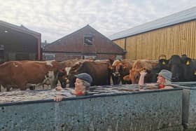 Anne and Pia taking on the cold water on a farm