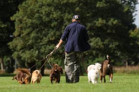 Dog control orders have been extended