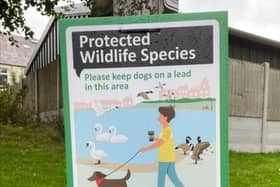 Fylde Council signs erected following several recent dog attacks on swans in the summer. New signs will soon be displayed to make dog walkers aware of the changes to the dog control rules to come into force in January