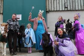 The Christmas Fair at World Horse Welfare Penny Farm