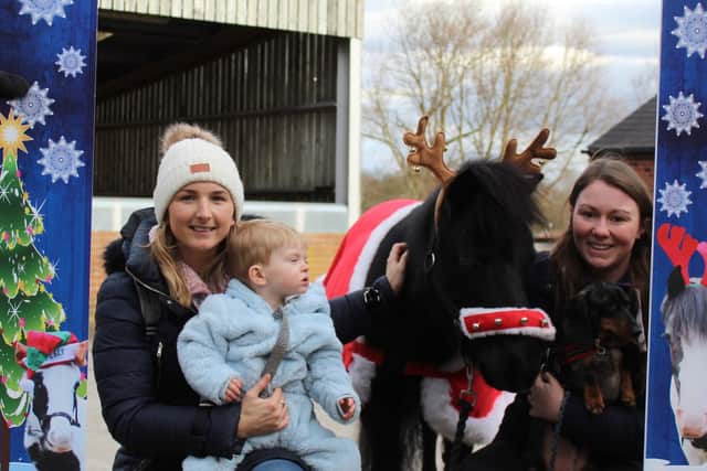 The Christmas Fair at World Horse Welfare Penny Farm