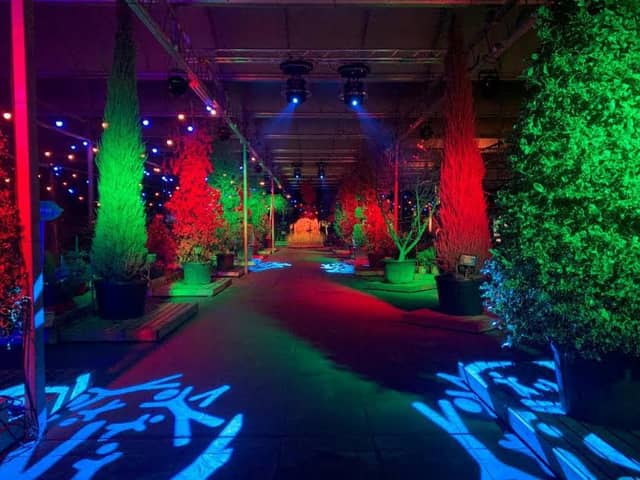 Award winning Christmas display at Barton Grange garden centre