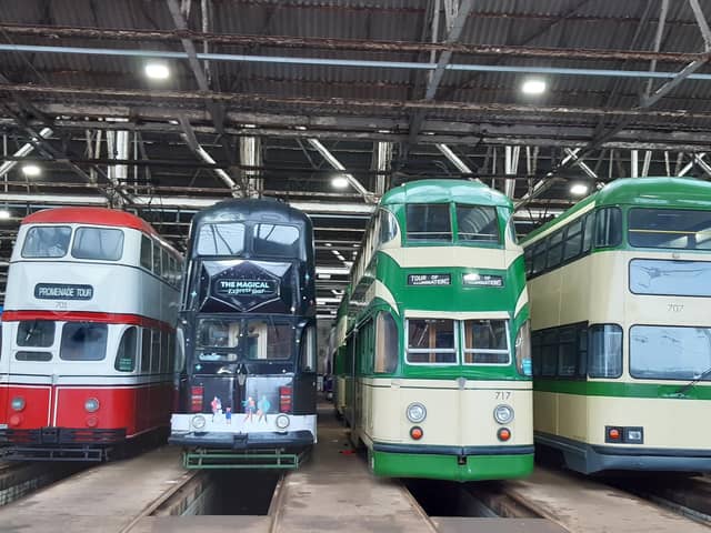 Heritage trams on display at Tramtown